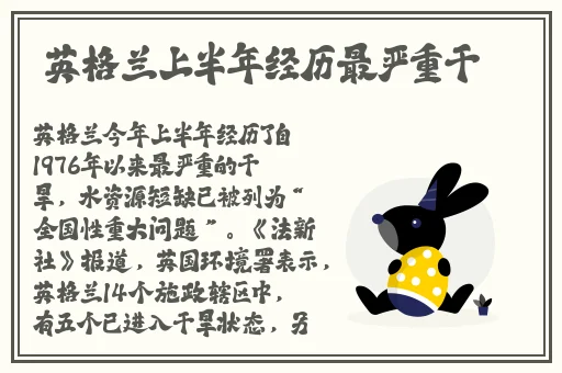 国产精品久久久久精品三级卜
